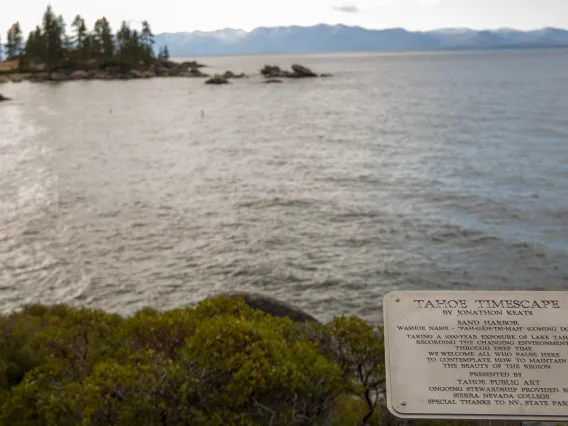 Millennium Camera-Lake Tahoe