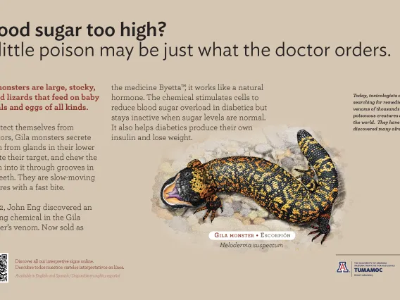 Gila Monster species sign with descriptive text and illustration. 