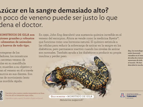 Spanish Gila Monster species sign with descriptive text and color illustration. 