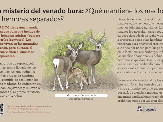 Spanish Mule Deer species sign with descriptive text and color illustration. 