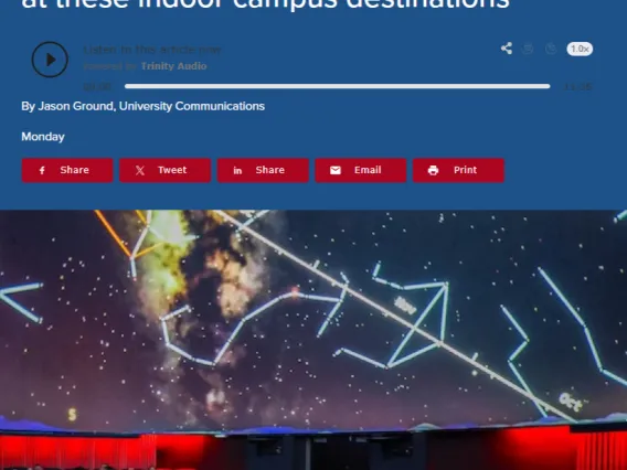 Headline text and photo of the night sky, with audience looking up