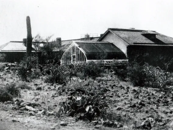 Desert Laboratory greenhouse ca. 1910.