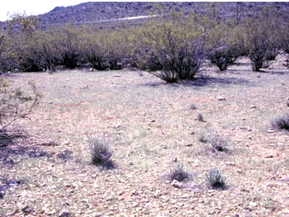 Annual field plots