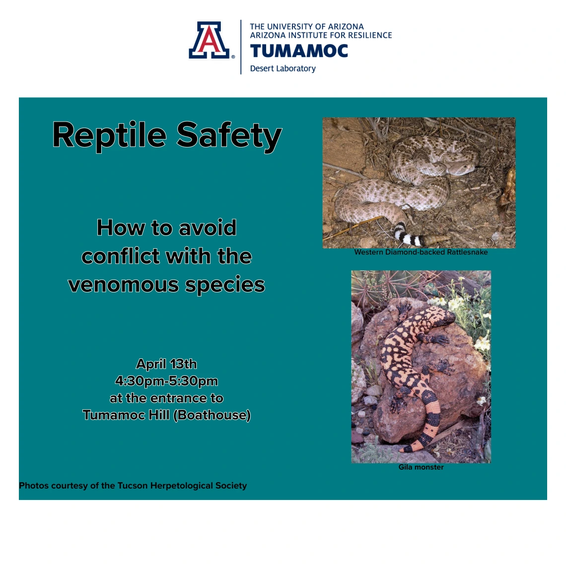 Reptile Safety Flyer