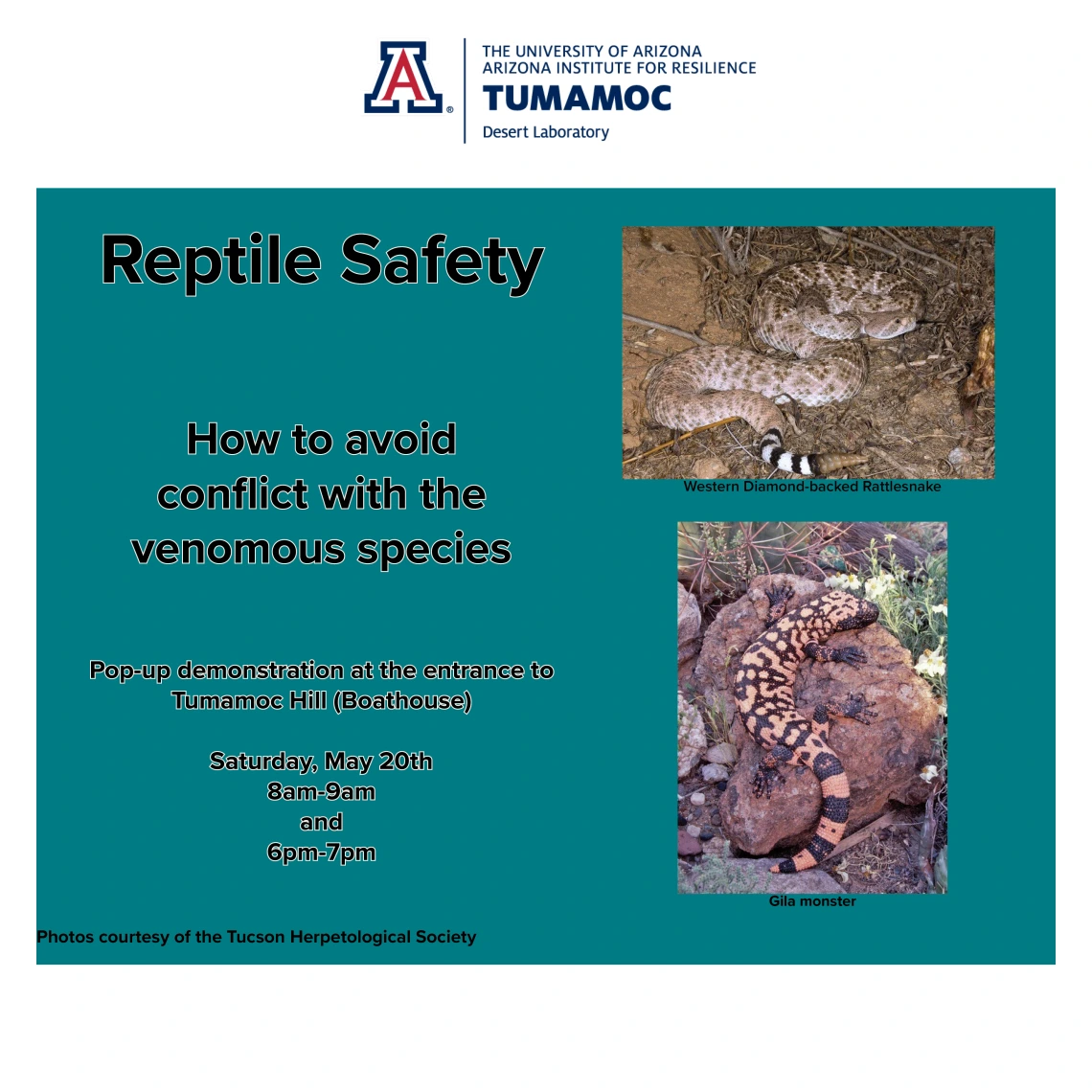 Reptile Safety May20