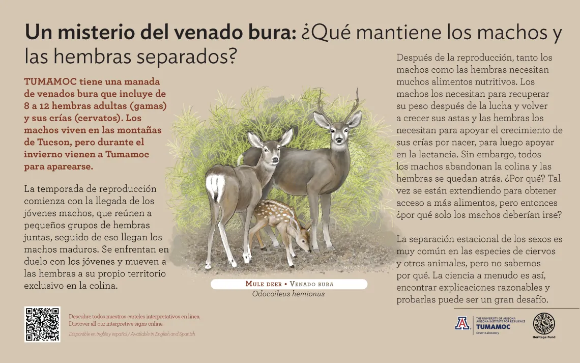 Spanish Mule Deer species sign with descriptive text and color illustration. 