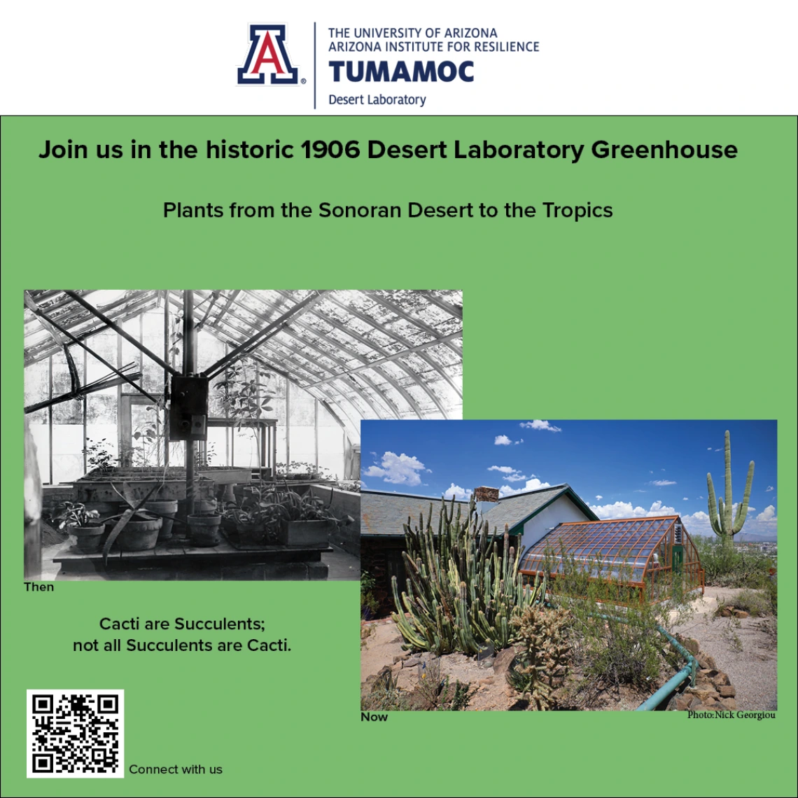 Flyer for Open Greenhouse with two photos of the historic 1906 Desert Laboratory Greenhouse.
