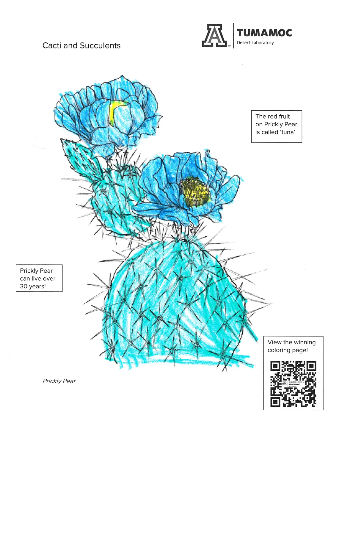 coloring page of prickly pear cactus