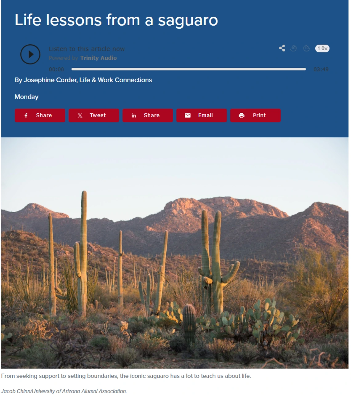 Headline text and image of desert landscape with saguaros and the mountains in sunset