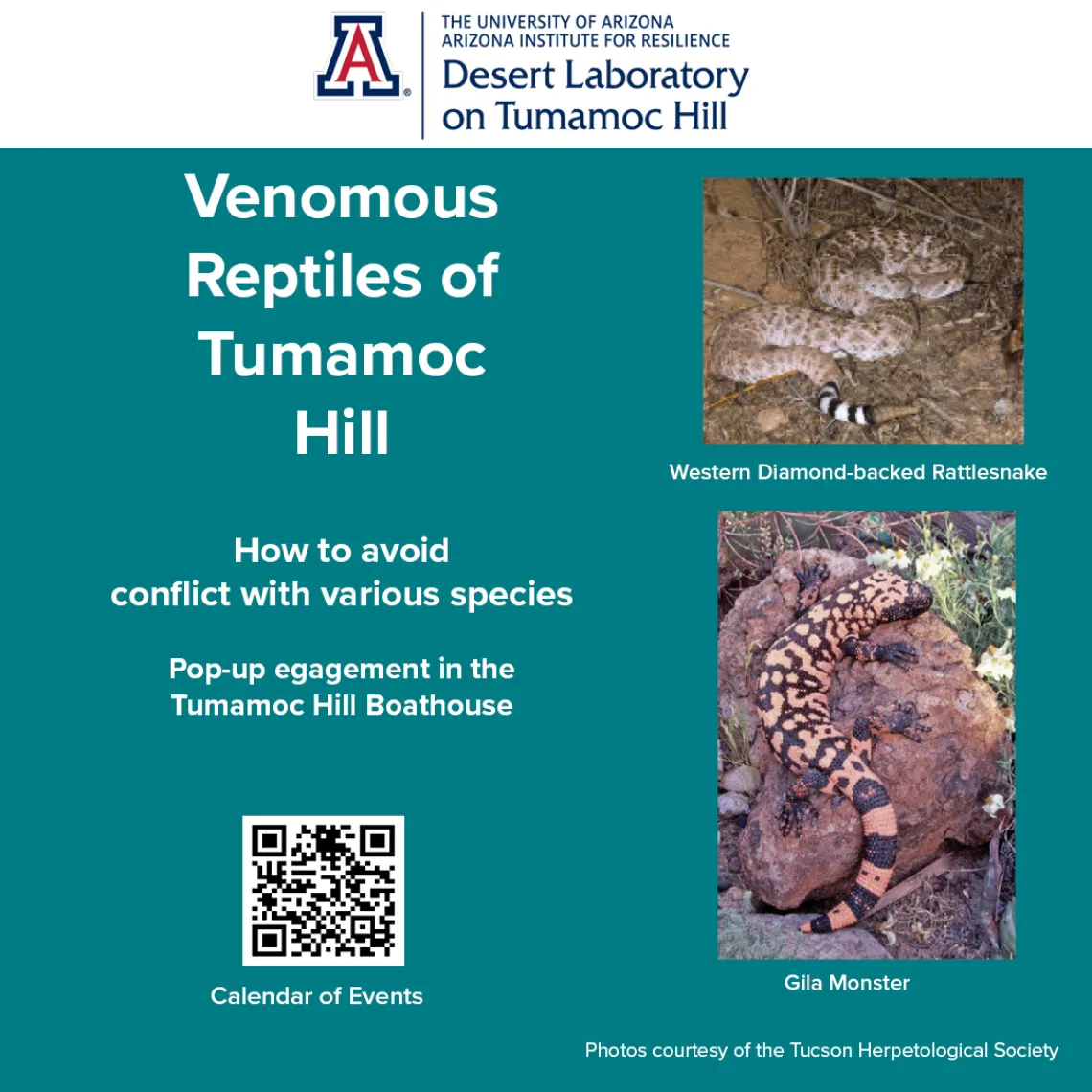 Venomous Reptiles Flyer with two images, one of a Western Diamondback Rattlesnake, and a Gila Monster. 