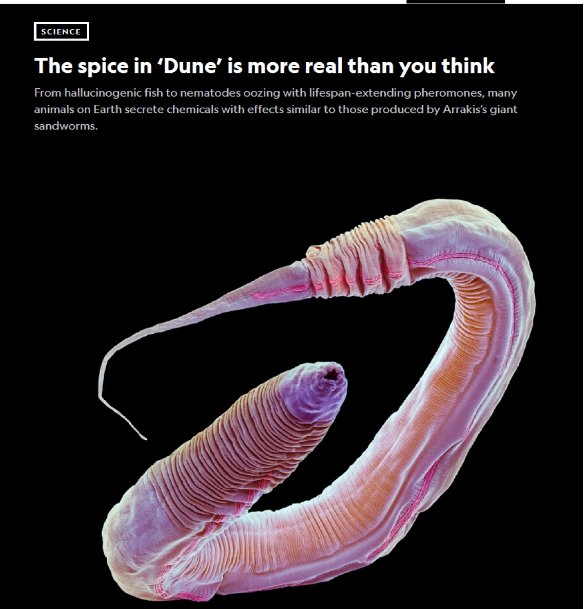 National Geographic article screenshot, "The spice in 'Dune' is more real than you think."