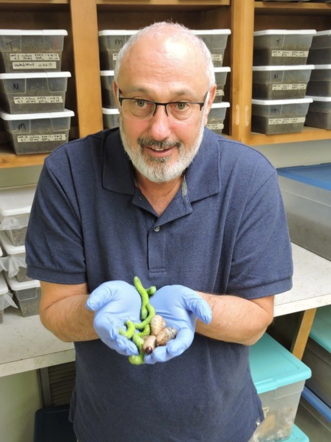 Image of Dr. Davidowitz holding bugs