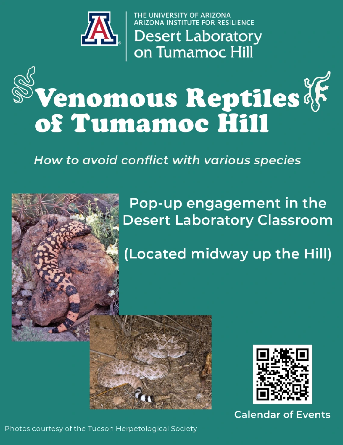 Flyer for Venomous Reptiles on Tumamoc Hill pop-up