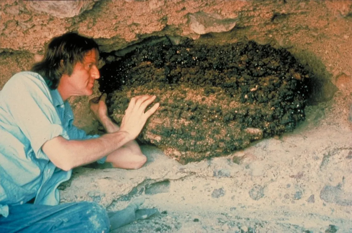  Previous Desert Laboratory Director Paul S. Martin (1928-2010) with a packrat midden. 