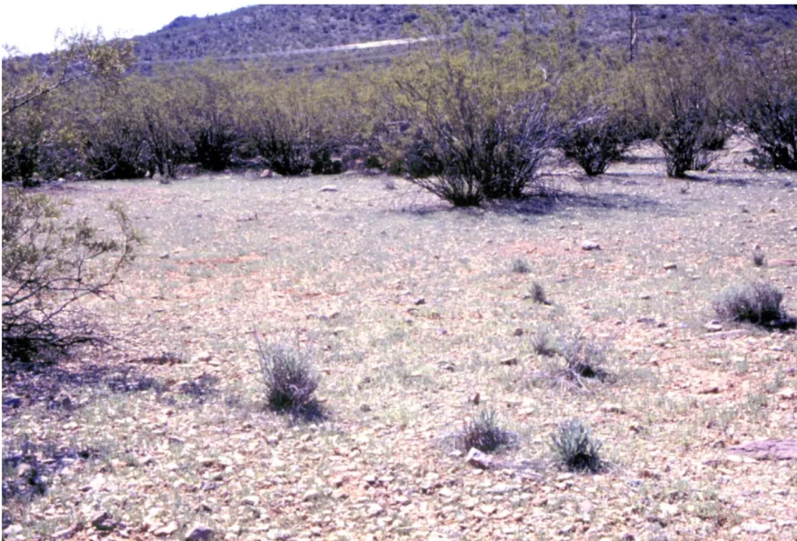 Annual field plots