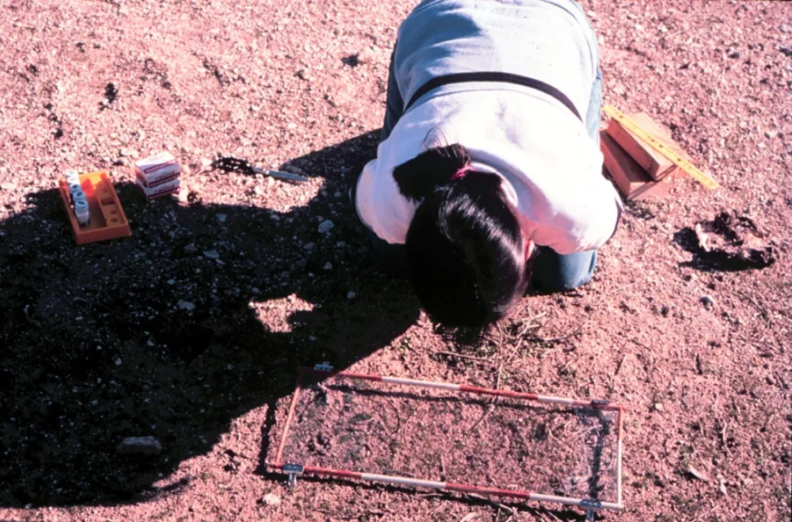 Collecting annual plant data