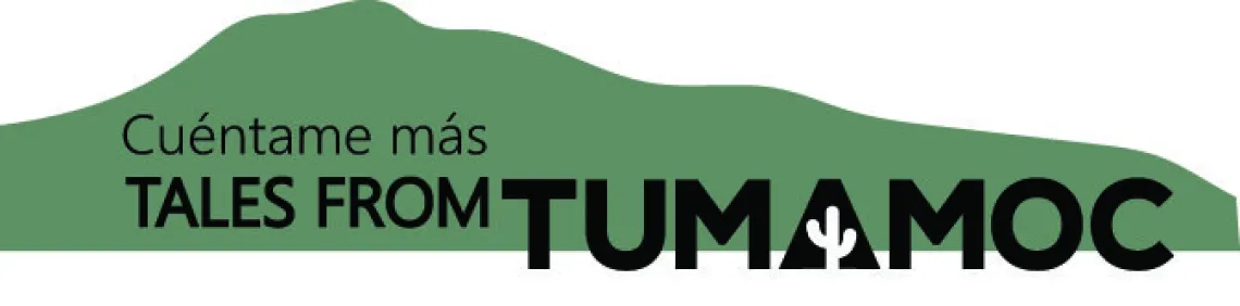 Silhouette mountain range