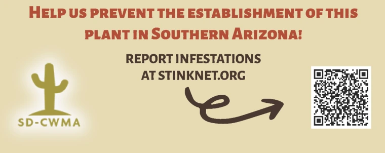 Stinknet reporting website image: stinknet.org