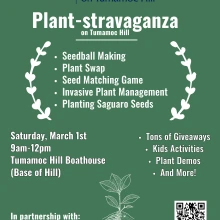 Plant-stravagana flyer 03/01/25_updated