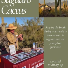 saguaro cactus information booth flyer for Tumamoc Hill