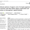 Screenshot of journal article on the saguaro cactus
